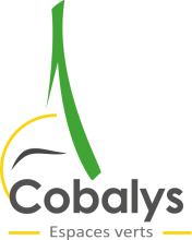 Cobalys